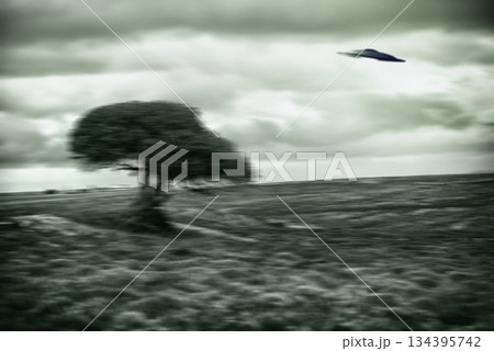 UFO, spaceship and nature for alien invasion, fantasy and science fiction with tree in field. Earth, aliens or environment, landscape and countryside with extraterrestrial drone in motion blur UFO, spaceship and nature for alien invasion, fantasy and science fiction with tree in field. Earth, aliens or environment, landscape and countryside with extraterrestrial drone in motion blur 134395742