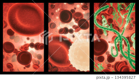Covid, blood and cell structure of disease closeup in series for medical investigation or research. Virus, bacteria and healthcare with a microscope view of living molecule samples for biology 134395827