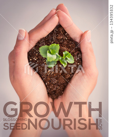Hands, plant and growth with words for motivation, blossom and leaves in soil for sustainability. Woman, holding dirt or earth for seedling, accountability or eco friendly mindset for sustainable ngo 134395832