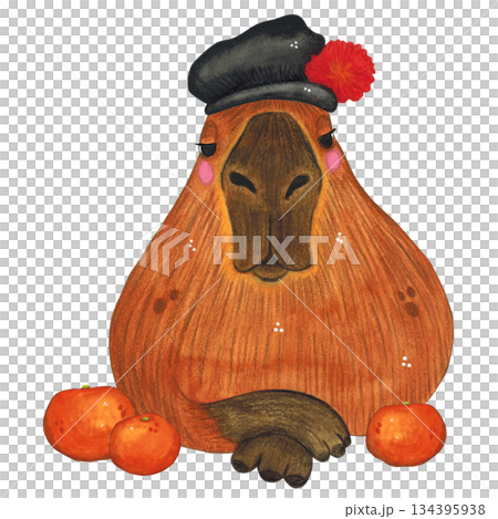 A capybara in a hat with a red flower. Hand-drawn watercolor illustration. Design suitable for printing on cakes, stickers, posters, and fabric. Animal, fruit, tradition A capybara in a hat with a red flower. Hand-drawn watercolor illustration. Design suitable for printing on cakes, stickers, posters, and fabric. Animal, fruit, tradition 134395938