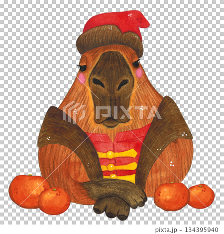 A capybara in a hat and caftan, a folk costume among oranges. Hand-drawn watercolor illustration. Design suitable for printing on cakes, stickers, posters, and fabric. Animal, fruit, tradition A capybara in a hat and caftan, a folk costume among oranges. Hand-drawn watercolor illustration. Design suitable for printing on cakes, stickers, posters, and fabric. Animal, fruit, tradition 134395940