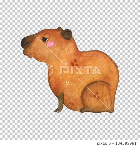 Capybara sits on. Watercolor illustration hand drawn cartoon. Drawing for printing on cake, stickers, poster, fabric. Animal, rodent, brown, children, capybara, cute Capybara sits on. Watercolor illustration hand drawn cartoon. Drawing for printing on cake, stickers, poster, fabric. Animal, rodent, brown, children, capybara, cute 134395961