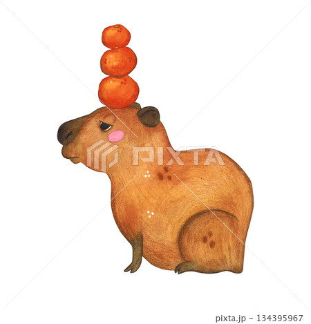 Capybara with oranges on head. Watercolor illustration hand drawn cartoon. Drawing for print on cake, stickers, poster, fabric. Animal, fruit, rodent, brown, kids, capybar Capybara with oranges on head. Watercolor illustration hand drawn cartoon. Drawing for print on cake, stickers, poster, fabric. Animal, fruit, rodent, brown, kids, capybar 134395967