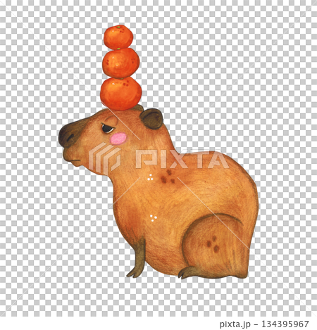 Capybara with oranges on head. Watercolor illustration hand drawn cartoon. Drawing for print on cake, stickers, poster, fabric. Animal, fruit, rodent, brown, kids, capybar Capybara with oranges on head. Watercolor illustration hand drawn cartoon. Drawing for print on cake, stickers, poster, fabric. Animal, fruit, rodent, brown, kids, capybar 134395967