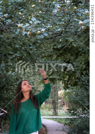 A woman in a green sweater gently reaches toward tree branches, surrounded by lush foliage and soft natural light, conveying a calm, mindful moment 134396431
