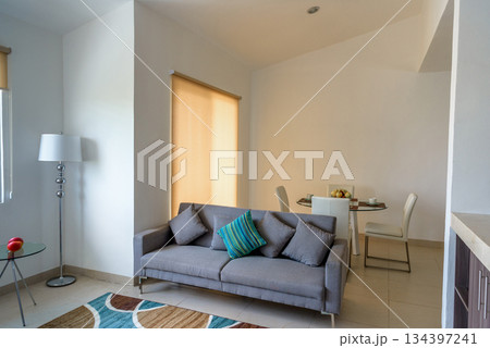 Modern Living Room with Retro Colorful Chair and Natural Light 134397241