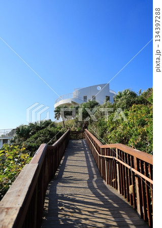 佐多岬展望台へと続く遊歩道（日本 鹿児島県南大隅町） 134397288