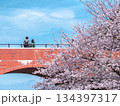 春の物語 134397317