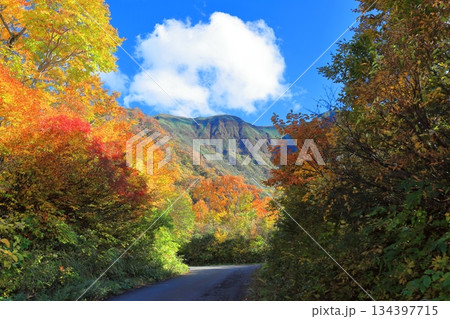 出羽三山　湯殿山 134397715