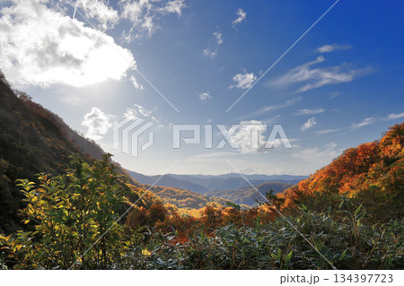 出羽三山　湯殿山 134397723