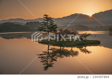 滋賀県蒲生郡日野町村井の日野川ダム 浮島の湖面に映える八重桜を撮影 134397804