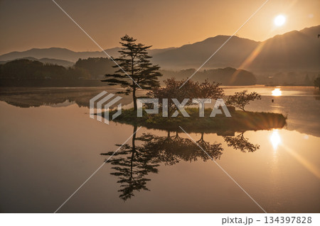 滋賀県蒲生郡日野町村井の日野川ダム 浮島の湖面に映える八重桜を撮影 134397828