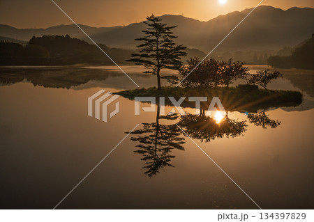 滋賀県蒲生郡日野町村井の日野川ダム 浮島の湖面に映える八重桜を撮影 134397829