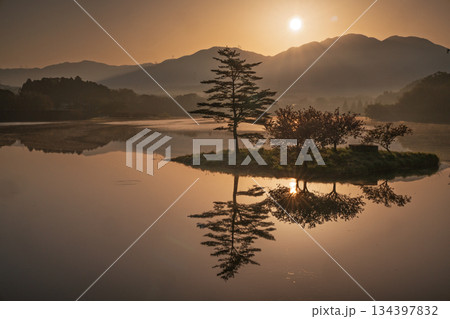 滋賀県蒲生郡日野町村井の日野川ダム 浮島の湖面に映える八重桜を撮影 134397832
