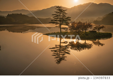 滋賀県蒲生郡日野町村井の日野川ダム 浮島の湖面に映える八重桜を撮影 134397833