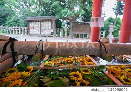 京都府八幡市の石清水八幡宮で撮影した花手水 京都府八幡市の石清水八幡宮で撮影した花手水 134398045