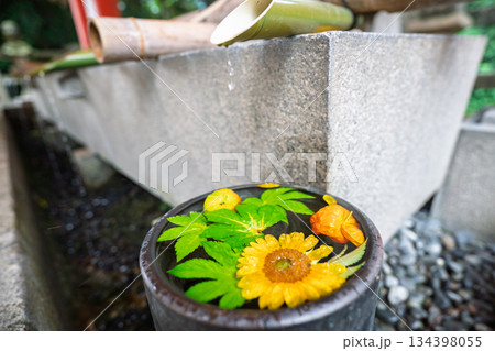 京都府八幡市の石清水八幡宮で撮影した花手水 京都府八幡市の石清水八幡宮で撮影した花手水 134398055