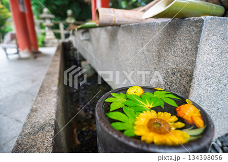 京都府八幡市の石清水八幡宮で撮影した花手水 134398056