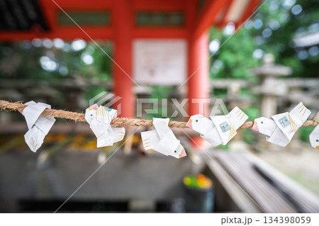 京都府八幡市の石清水八幡宮で撮影した花手水 134398059