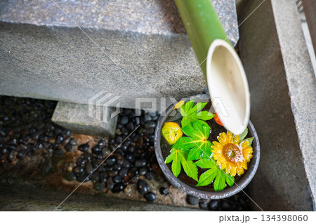 京都府八幡市の石清水八幡宮で撮影した花手水 京都府八幡市の石清水八幡宮で撮影した花手水 134398060