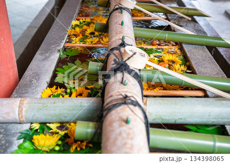 京都府八幡市の石清水八幡宮で撮影した花手水 134398065