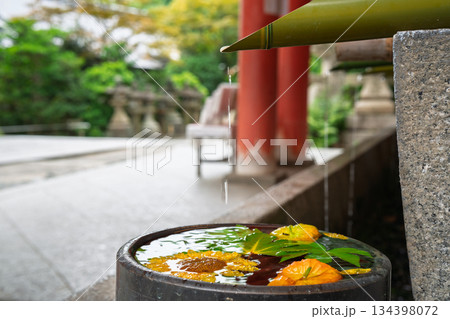 京都府八幡市の石清水八幡宮で撮影した花手水 京都府八幡市の石清水八幡宮で撮影した花手水 134398072