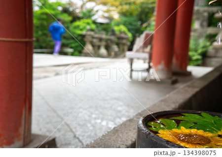 京都府八幡市の石清水八幡宮で撮影した花手水 134398075