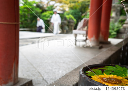 京都府八幡市の石清水八幡宮で撮影した花手水 134398078