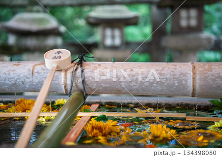 京都府八幡市の石清水八幡宮で撮影した花手水 京都府八幡市の石清水八幡宮で撮影した花手水 134398080