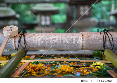 京都府八幡市の石清水八幡宮で撮影した花手水 京都府八幡市の石清水八幡宮で撮影した花手水 134398081
