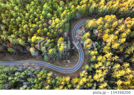 Scenic drive through Tennessee Appalachians at sunset in fall season. Car traveling on curvy forest road under vibrant autumn foliage 134398200