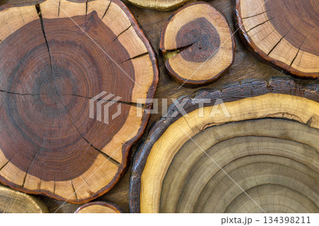 Round wooden unpainted solid natural ecological soft colored brown and yellow crackled stumps background, tree cut sections with annual rings different sizes and forms, background texture. 134398211