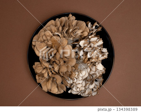 マイタケ 134398389