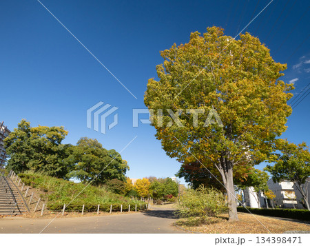 流山おおたかの森駅付近の住宅街　千葉県 134398471