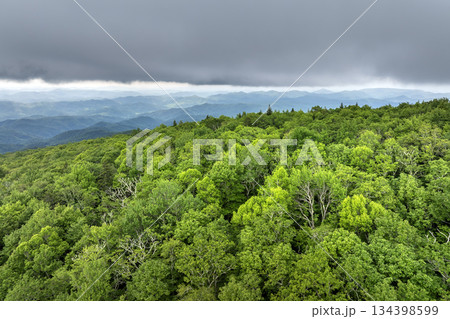 Nature landscape of Tennessee Appalachian mountains. Mountain forest with green canopies in summer rain season 134398599