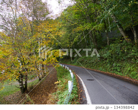 秋の観光名所上高地の森と道路の風景 秋の観光名所上高地の森と道路の風景 134398842