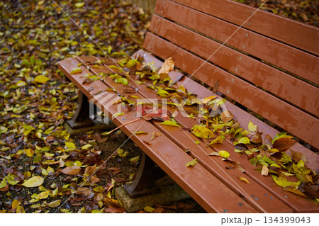 秋の雨後の公園のベンチと紅葉の落ち葉の風景 134399043
