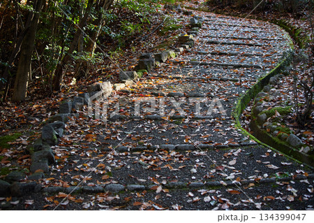 秋の雨後の朝の公園の散策道と紅葉の落ち葉の風景 134399047