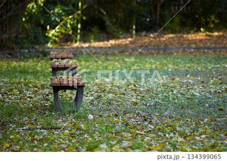 秋の雨後の公園のベンチと紅葉の落ち葉の風景 秋の雨後の公園のベンチと紅葉の落ち葉の風景 134399065