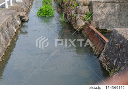 琵琶湖東平野に残る日本遺産である伊庭水郷集落を撮影 134399162