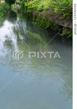 琵琶湖東平野に残る日本遺産である伊庭水郷集落を撮影 134399168