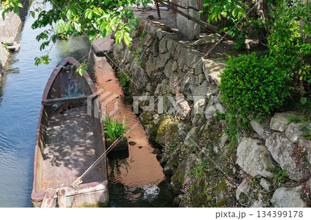 琵琶湖東平野に残る日本遺産である伊庭水郷集落を撮影 134399178