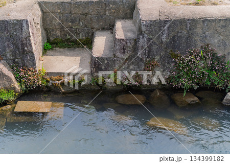 琵琶湖東平野に残る日本遺産である伊庭水郷集落を撮影 134399182