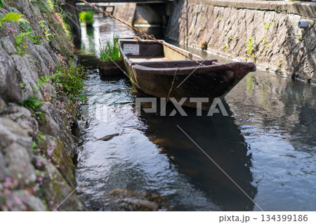 琵琶湖東平野に残る日本遺産である伊庭水郷集落を撮影 134399186