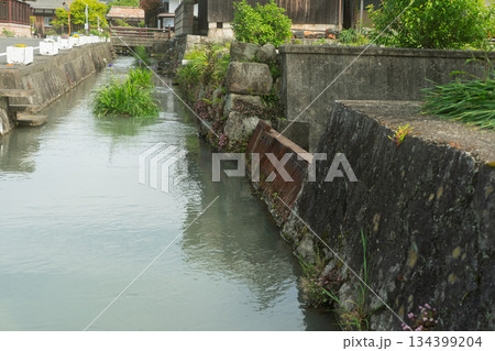 琵琶湖東平野に残る日本遺産である伊庭水郷集落を撮影 琵琶湖東平野に残る日本遺産である伊庭水郷集落を撮影 134399204