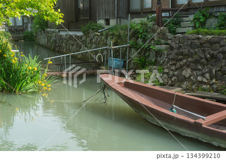 琵琶湖東平野に残る日本遺産である伊庭水郷集落を撮影 134399210