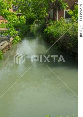 琵琶湖東平野に残る日本遺産である伊庭水郷集落を撮影 134399219