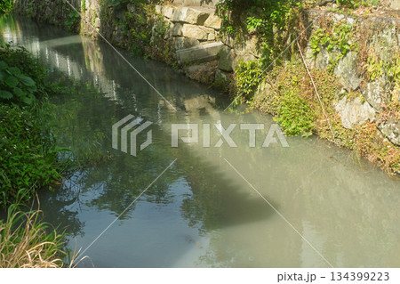 琵琶湖東平野に残る日本遺産である伊庭水郷集落を撮影 134399223