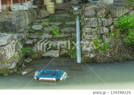 琵琶湖東平野に残る日本遺産である伊庭水郷集落を撮影 134399229