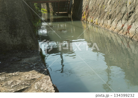 琵琶湖東平野に残る日本遺産である伊庭水郷集落を撮影 134399232